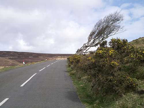 photo credit: shirokazan (creative commons)