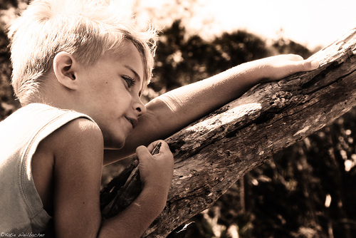 photo credit: katiew (creative commons)