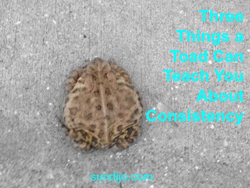 Three Things a Toad Can Teach You About Consistency